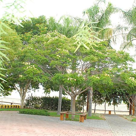 Hotel Flor Da Chapada Itaberaba Екстериор снимка